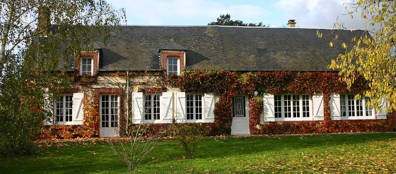 Quels sont les différents types de bois utilisés pour les portes d'entrée modernes ? 